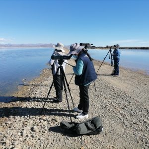 IMG-20250505-WA0024