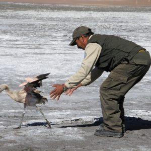 IMG-20250505-WA0028